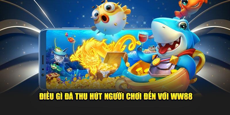 Điều gì đã thu hút người chơi đến với WW88